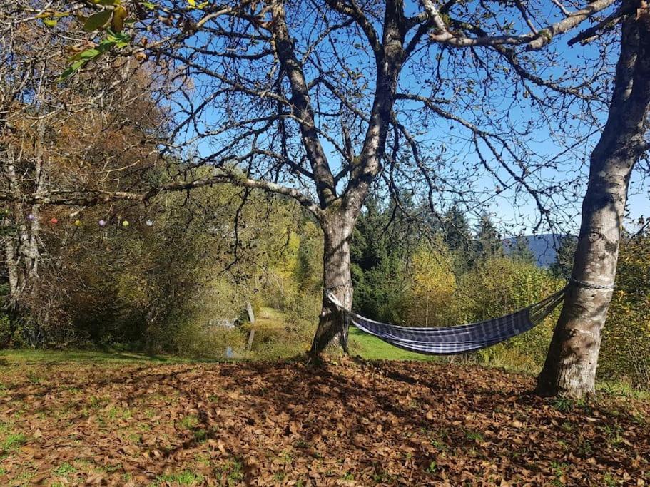Ferme De Chenezeau - 15 Personnes , 7 Chambres Gérardmer Exteriör bild